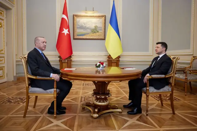 Erdogan iyo Volodymyr Zelenskiy 