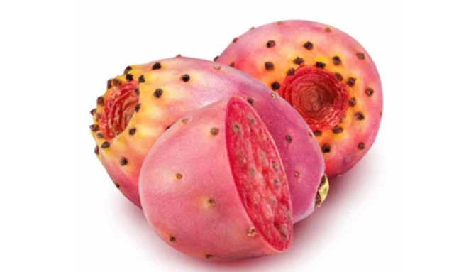 ثمار تين شوكي