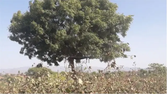 చడోతరూ ఆచారం