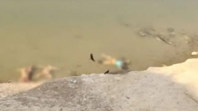 युपी-बिहारमध्ये नदीकिनारी वाहणारे मृतदेह