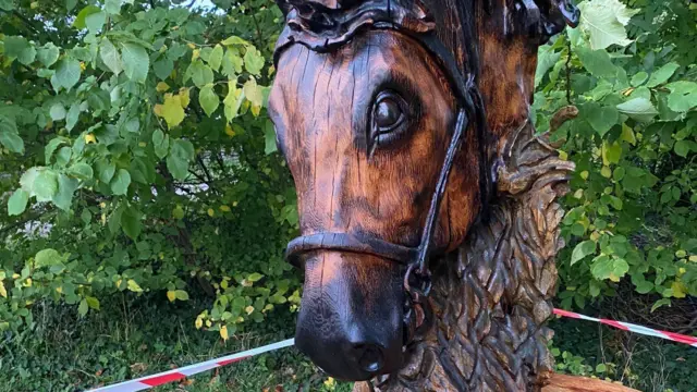 Un primer plano de la cabeza del caballo.