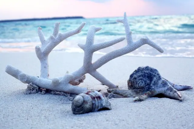 లక్షద్వీప్