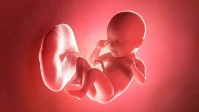 ਗਰਭ ਵਿੱਚ ਮੌਜੂਦ ਬੱਚੇ ਦੀ ਸੰਕੇਤਕ ਤਸਵੀਰ 