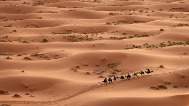 सहारा वाळवंट