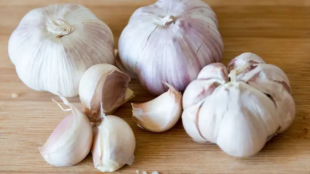 Garlic
