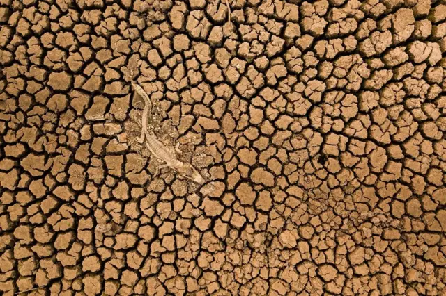 Pemenang kategori lanskap