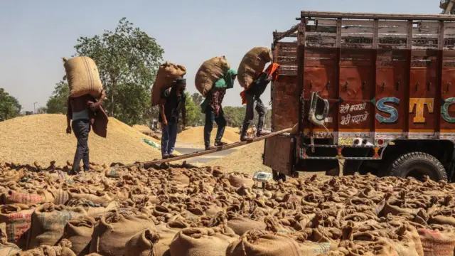 धान के बोरे ट्रक में चढ़ाते मजदूर