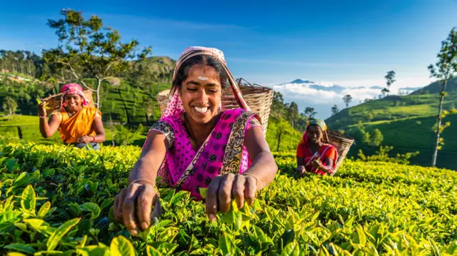 இலங்கை, இந்திய வம்சாவளித் தமிழர்கள், மலையகத் தமிழர்கள்