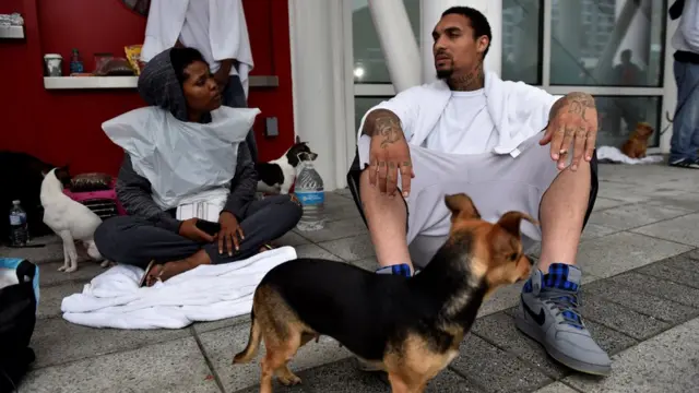 В Хьюстоне перед ураганом успели позаботиться и об убежищах для домашних животных