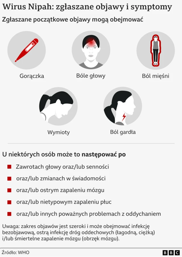 Grafika przedstawia objawy, które towarzyszą zakażeniem wirusem Nipha