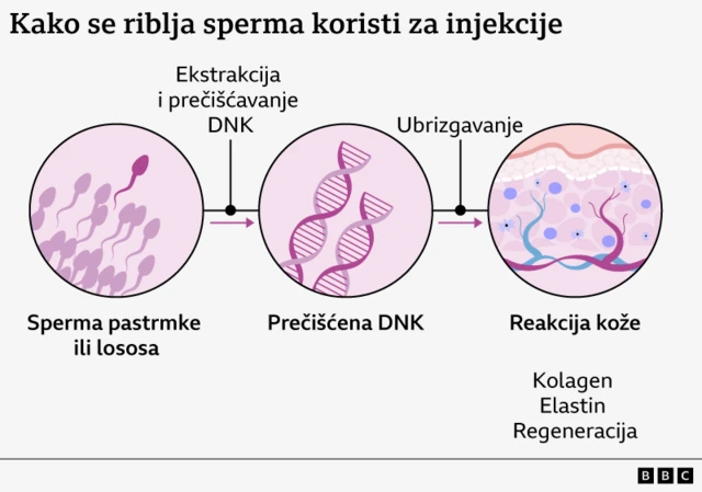 рибља сперма, инјекције од рибље сперме у лице