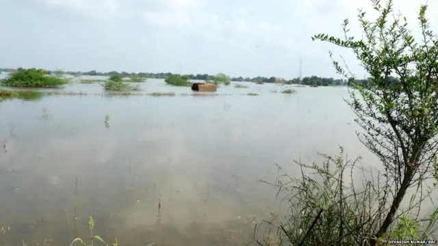 सरदार सरोवर