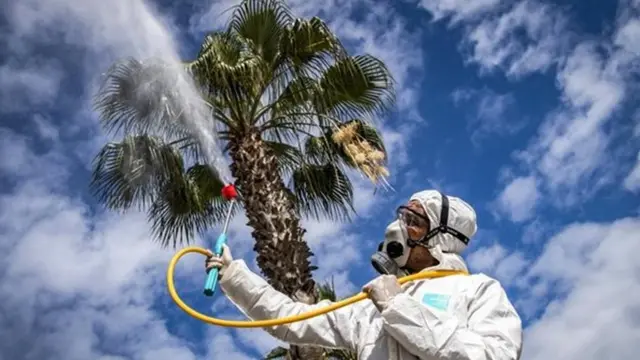 Лабораторные исследования и компьютерное моделирование показывают, что вне организма в теплых и влажных условиях у нового коронавируса меньше шансов выжить