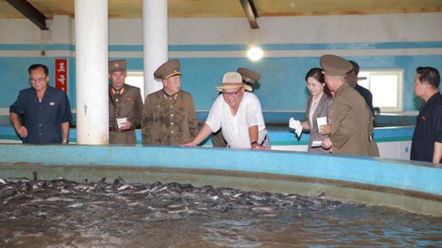 Kim Jong-un and officials get a soaking at Samchon catfish farm