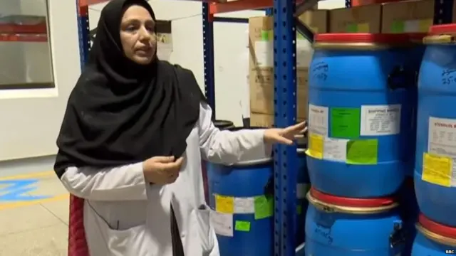 अनीता मेंहदी