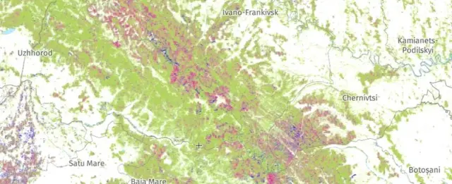 Ružičasti predeli na mapi pokazuju mesta u zapadnoj Ukrajini i Rumuniji u kojima je došlo do velike seče stabala od 2001. godine