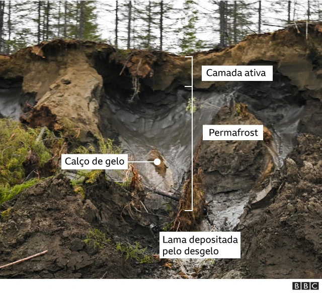 Gráfico mostrando camadas do permafrost