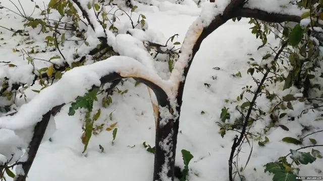 कश्मीर में बर्फ़बारी