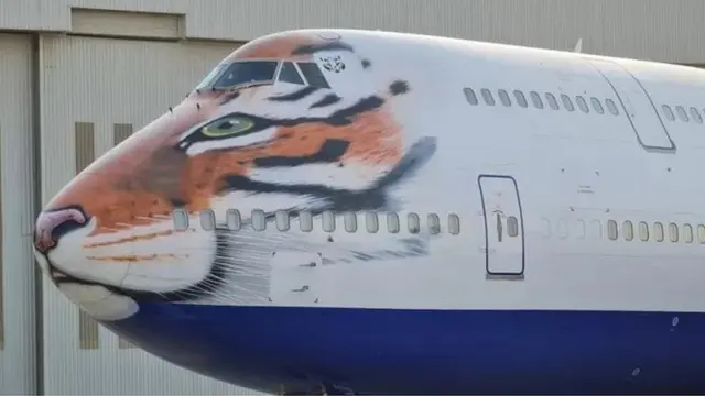 ભારતમાં ચિત્તા