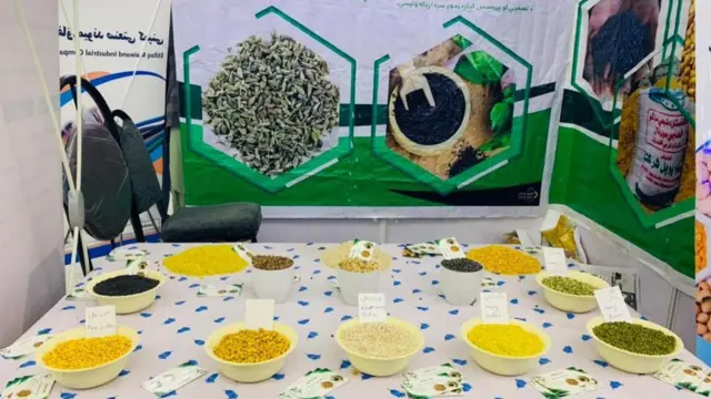 کابل کې نندارتون