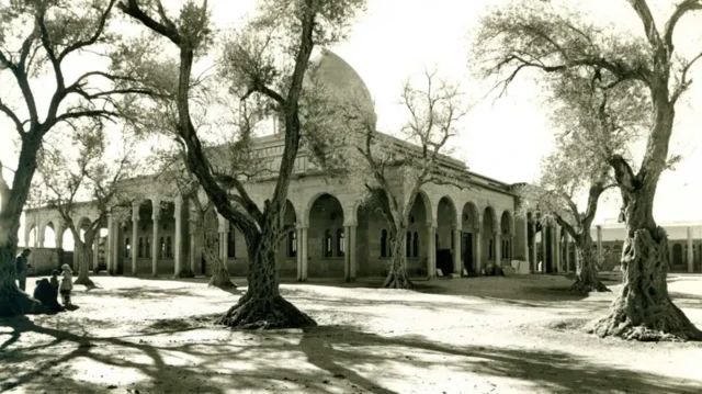 سیدہ زینب کا مزار