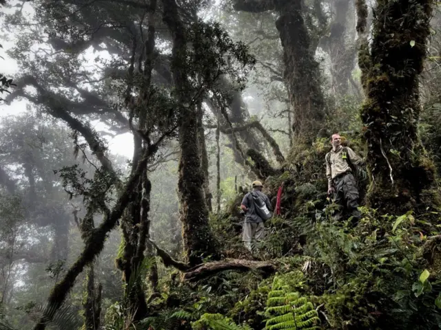 Parte de la expedición en los montes Cíclopes.