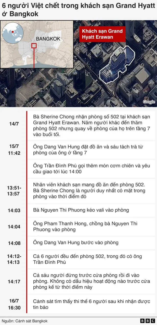 timeline