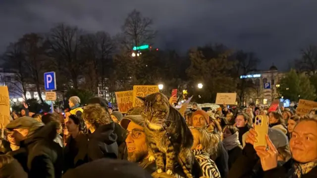 Толпа людей с плакатами, на плечах одного из мужчин сидит кот.
