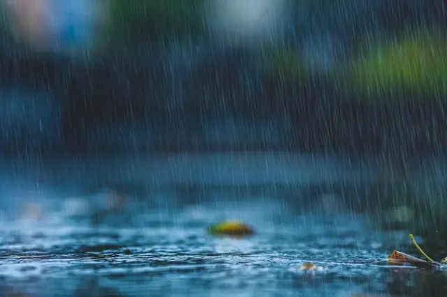 ગુજરાતમાં ચોમાસું