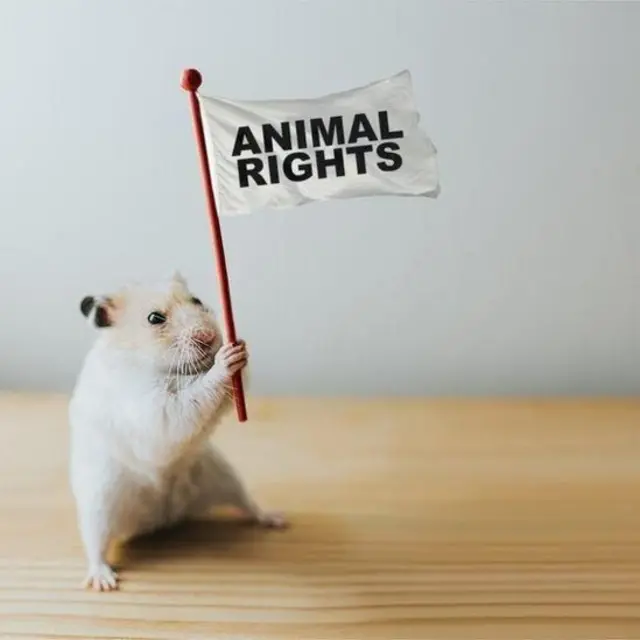 జంతువులు, జంతు సంరక్షణ, వన్యప్రాణులు