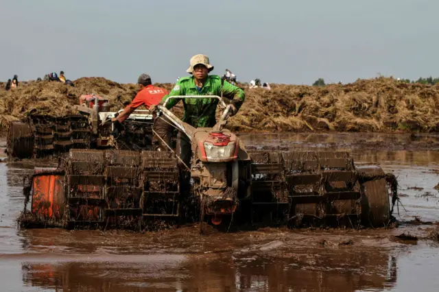 Petani milenial membajak sawah untuk ditanami padi di lumbung pangan (food Estate), Kecamatan Dadahup, Kapuas, Kalimantan Tengah, Jumat (27/9/2024). Kementerian Pertanian menargetkan cetak sawah di Kalimantan Tengah seluas 621,684 hektar dengan target tahun 2026 selesai sebagai upaya meningkatkan produksi padi. 