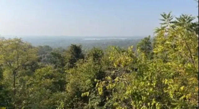 काचेपार डोंगर ज्यावर लोहखनिज खाण सुरू होणार आहे.