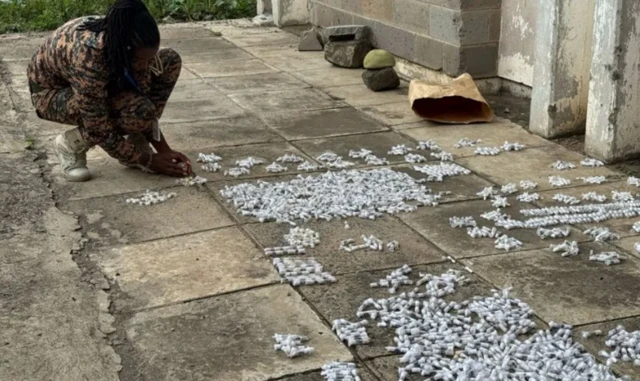 የተሰረቁት ጉንዳኖች