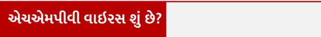 એચએમપીવી, HMPV. વાઇરસ, ચીન, ભારત, સ્વાસ્થ્ય, બીબીસી ગુજરાતી 