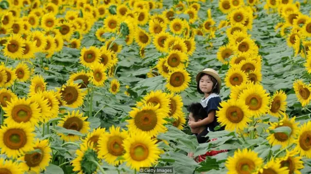 Apakah popularitas ikumen merupakan trend atau mewakili perubahan penting?