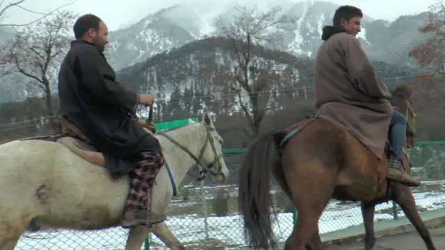 पहलगाम में घोड़े