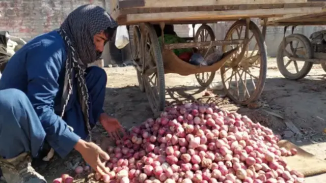 పాకిస్తాన్‌లో కొండెక్కిన ఉల్లి ధర