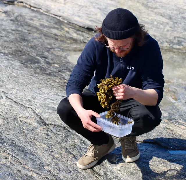 El chef Poul Andrias Ziska recogiendo plamtas