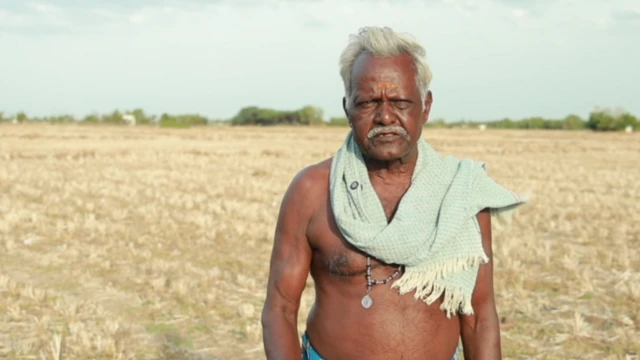 காவிரி டெல்டா பகுதி, மேட்டூர் அணை, குறுவை சாகுபடி