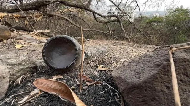 वेताळ टेकडी, पुणे