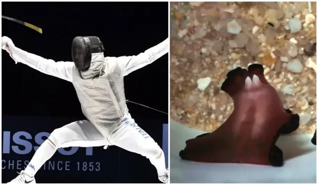 ዳኒኤል ጋሮዞን ጸፊሕ-ሓሰኻን