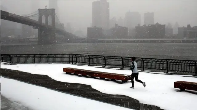 只有頂尖運動員的快肌纖維或慢肌纖維濃度高，這取決於他們的身體特質。