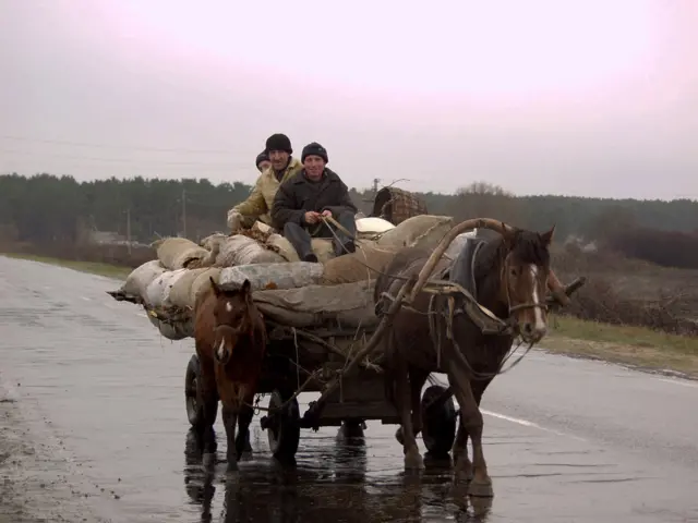 "Оттенки осени"