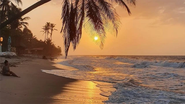 Praia de Palomino