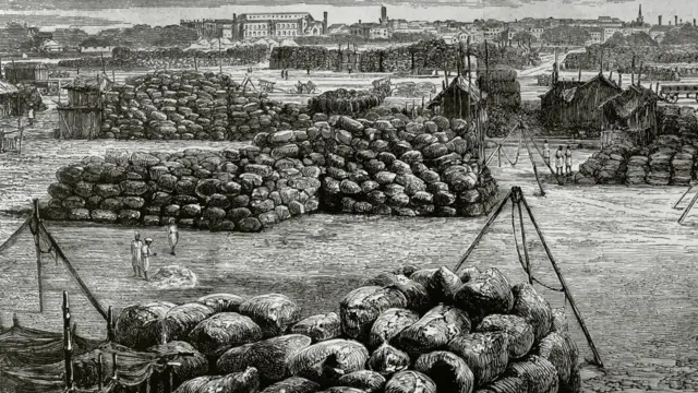 मुंबईतला कापसाचा व्यापार