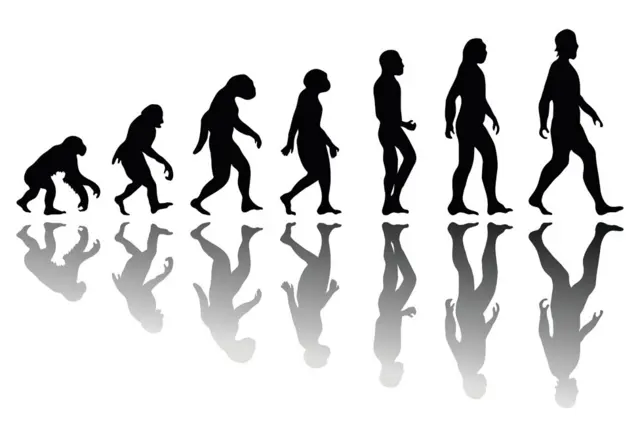 La evolución del hombre