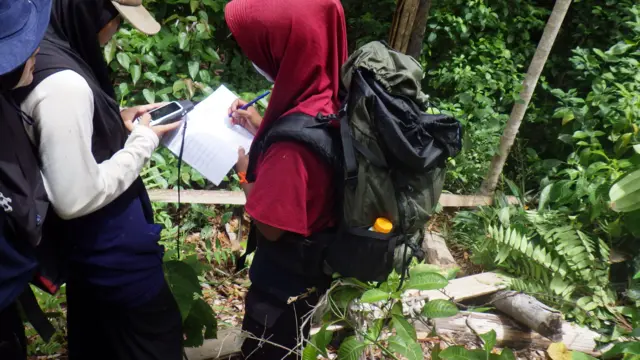 Konservasi Leuser