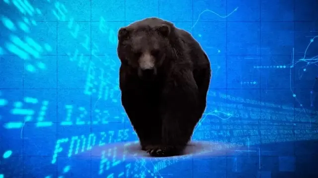 iqtisadiyyat ayı ayı bazarı fond birjaları fond bazarları iqtisadi termin kimi ayı bazarı nə deməkdir 