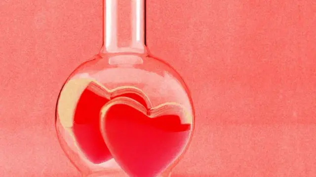 ప్రేమ, సోల్‌మేట్, బంధం, దాంపత్యం, పెళ్లి