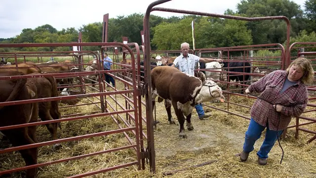 Curral no Estado do Wyoming